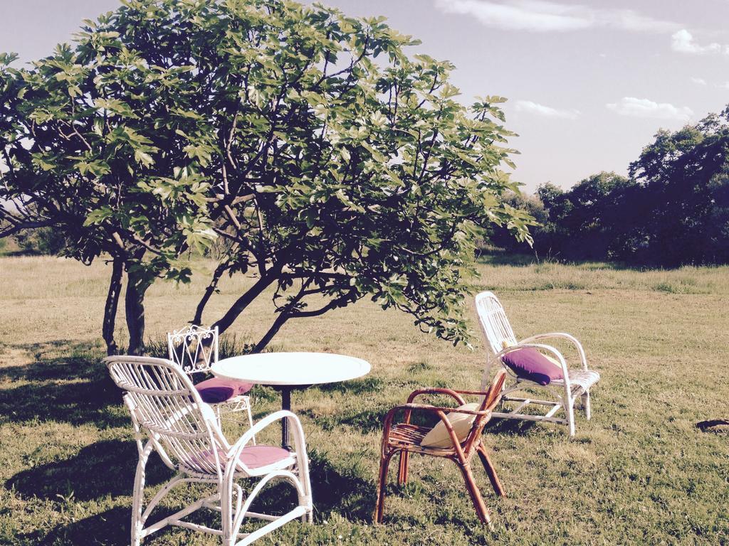 B&B Mas Coquells Habitacion Genover Vilanant Bagian luar foto
