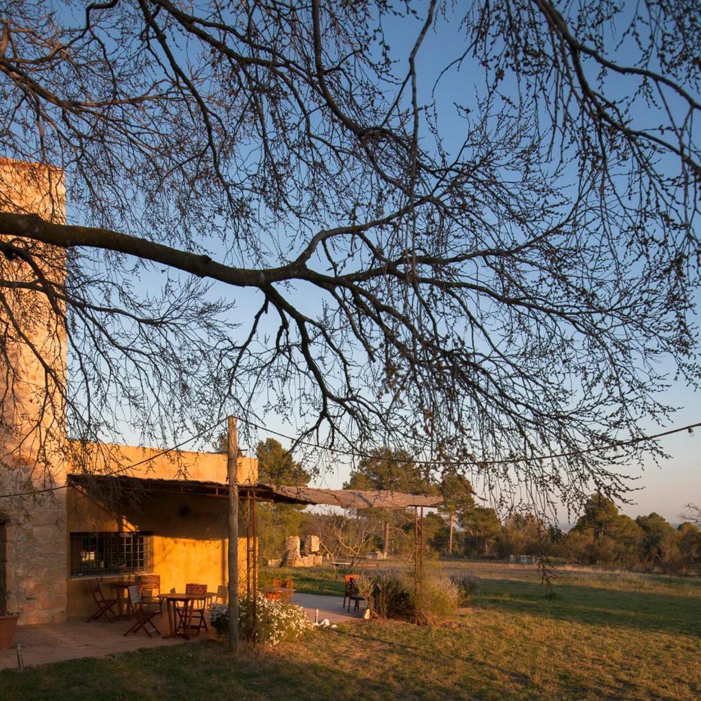 B&B Mas Coquells Habitacion Genover Vilanant Bagian luar foto